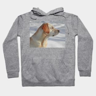 Labrador Retriever Yellow fourth Hoodie